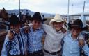 arizona-cow-boys.jpg